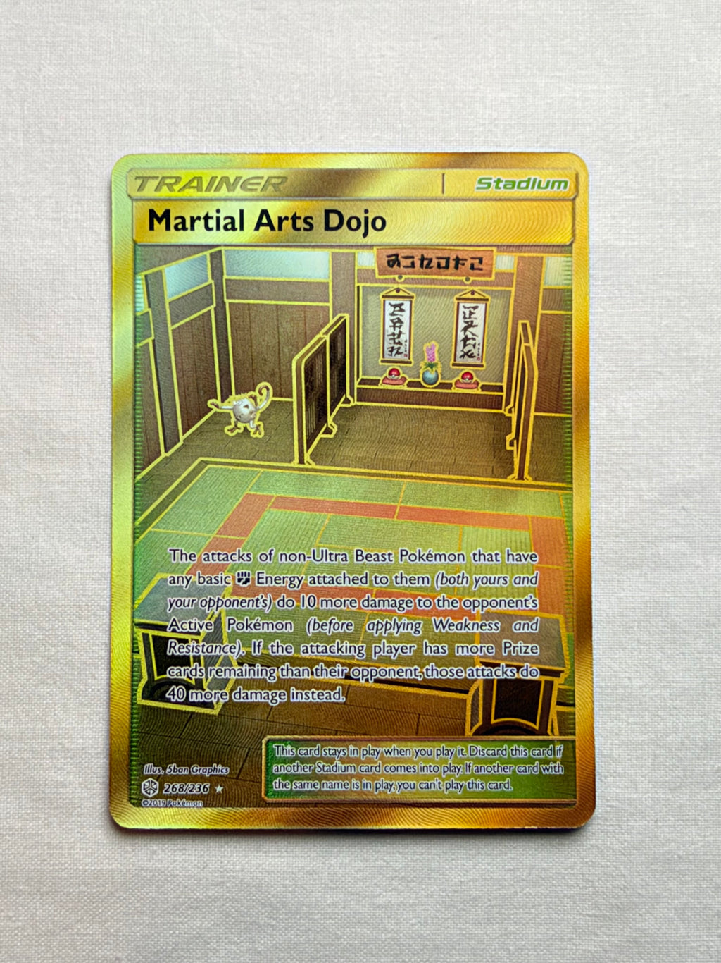 Martial Arts Dojo 268/236 front