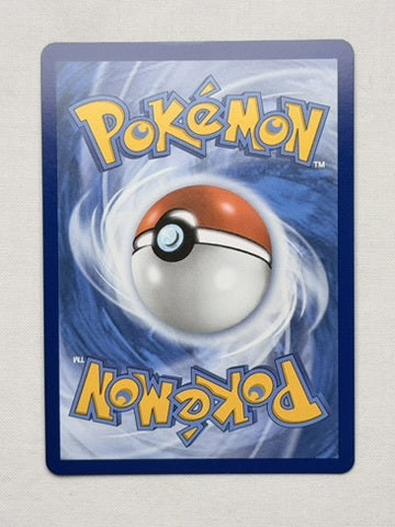 Chimchar 041 product image 2