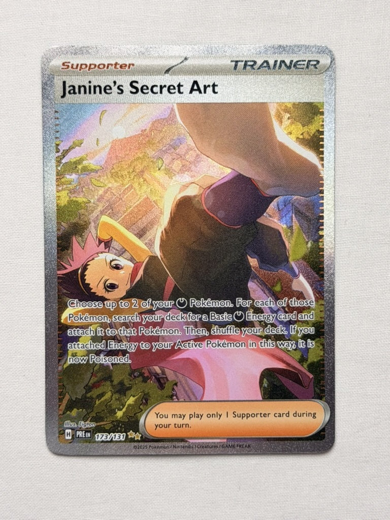 Janine's Secret Art 173/131 product image