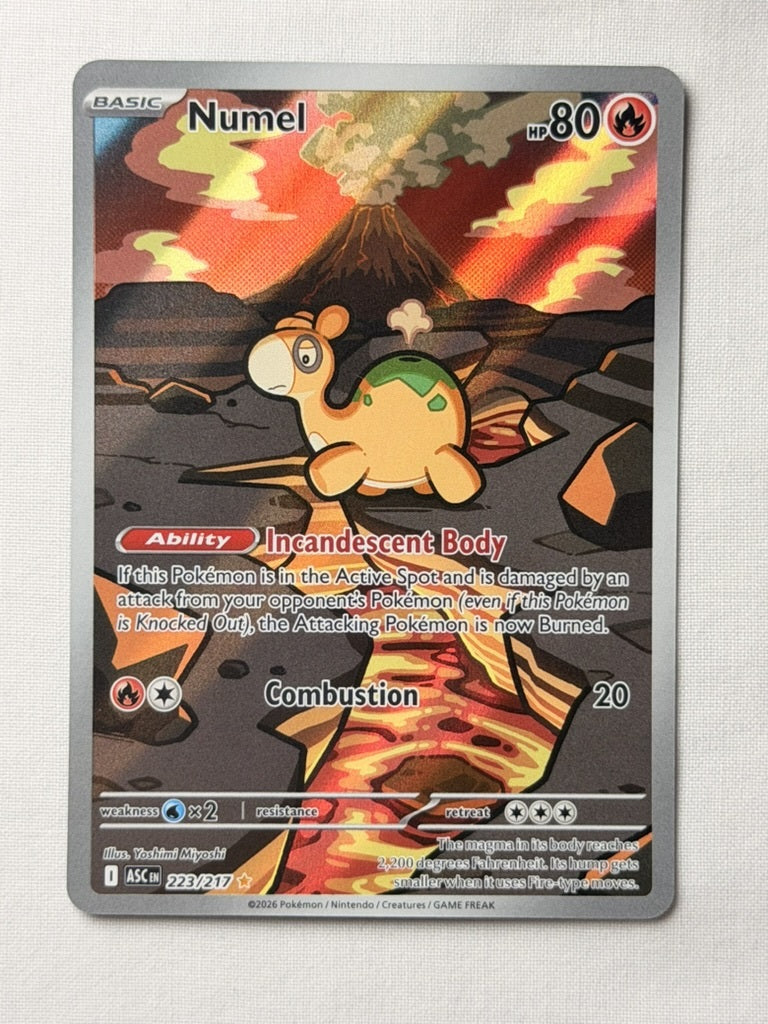 Numel 223/217 product image