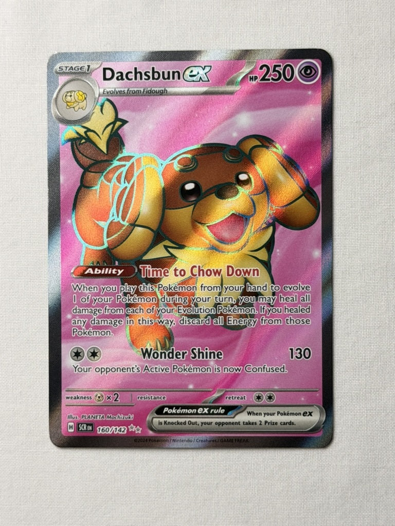 Dachsbun ex 160/142 product image